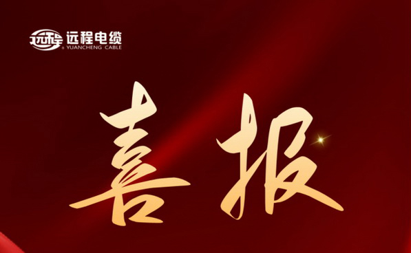 喜报！远程电缆中标某地铁项目 中标金额超亿元！