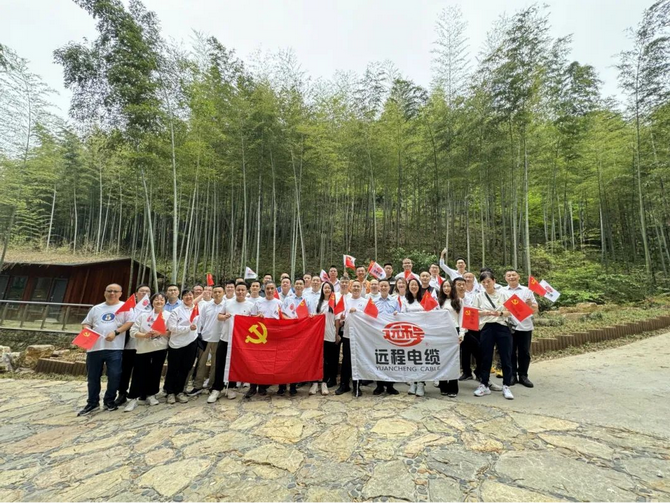 远程股份主题党日暨登山活动热力开启！