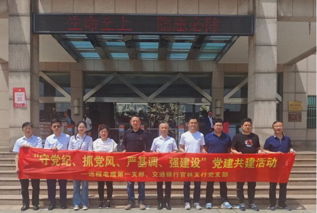 党建在线|远程股份开展“守党纪、抓党风、严基调、强建设”党建共建活动