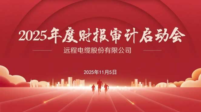 夯实财务根基，保障规范发展——远程股份召开2025年度年报审计启动会