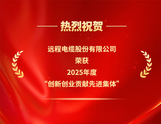 Honor coronation! Remote Corporation was awarded the title of 