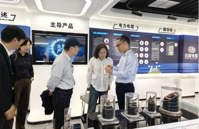 Vice President of Jiangsu Macroeconomics Society, Li Yi, and his delegation visited for research and guidance